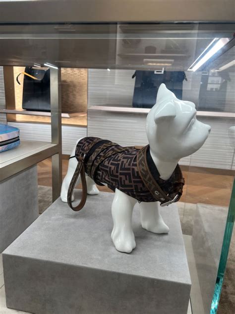 fendi dogs|Fendi dior.